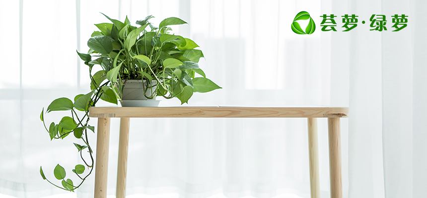 圖片4.png 圖片4.png