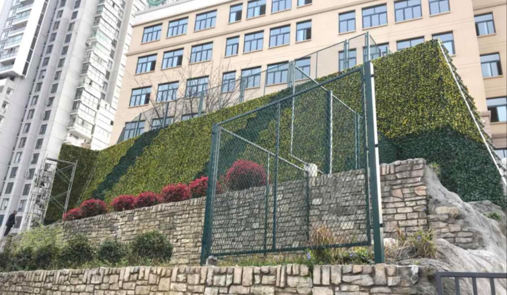 圖片3.png 圖片3.png