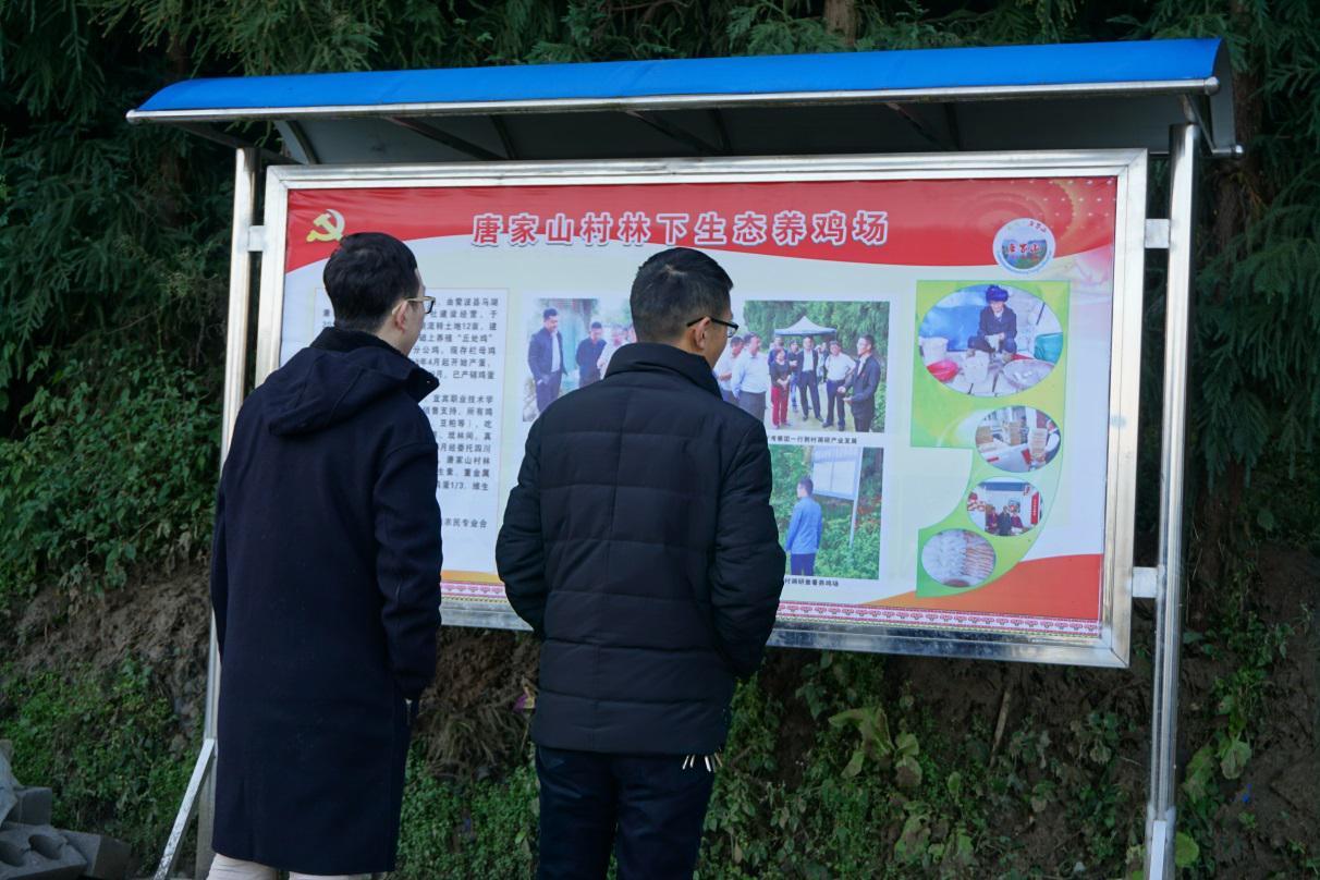 雷波4.jpg 雷波4.jpg