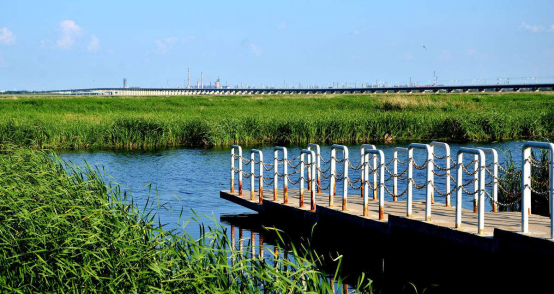 圖片5.png 圖片5.png