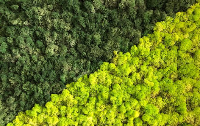 圖片4.jpg 圖片4.jpg